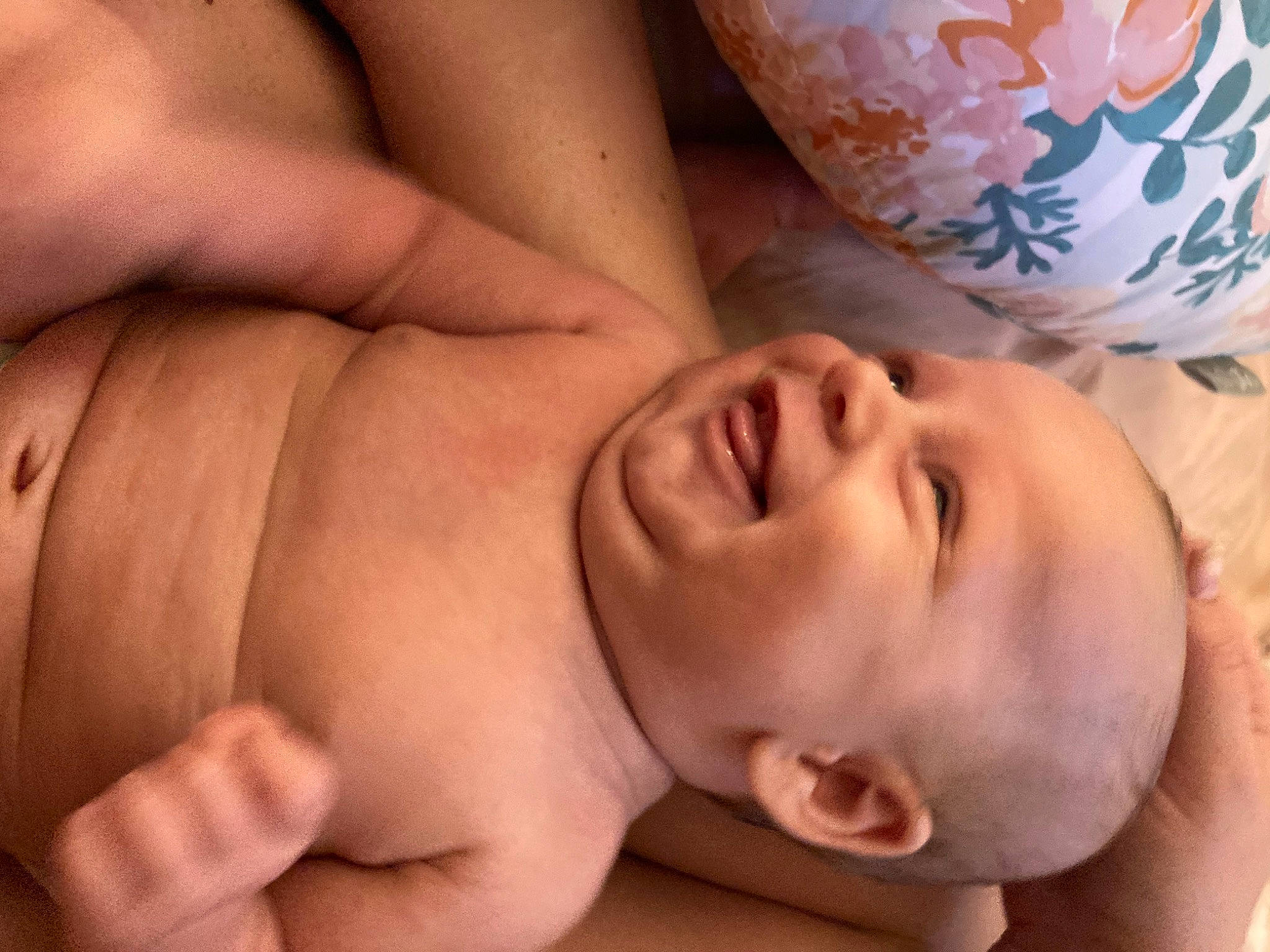 Maisie is registered to the contest to win money with this photo: abdomen, baby, barechested, cheek, chest, child, chin, close_up, comfort, eye, eyebrow, finger, gesture, head, mouth, nail, nose, person, skin, thumb