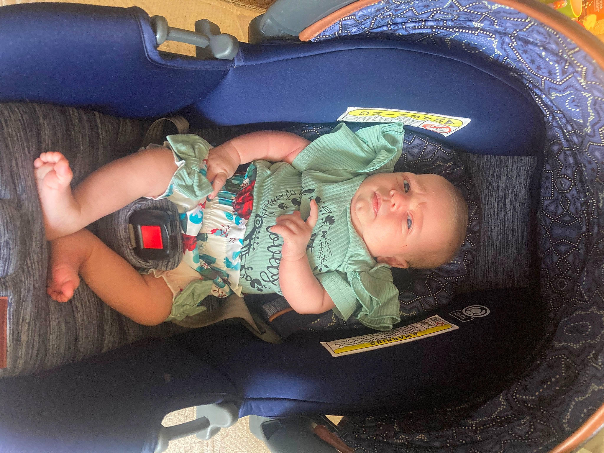 Maisie is registered to the contest to win money with this photo: auto_part, baby, baby_carriage, baby_products, baby_toddler_clothing, car_seat, child, circle, comfort, electric_blue, human_leg, lap, person, sitting, snapshot, thigh, toddler, wrist