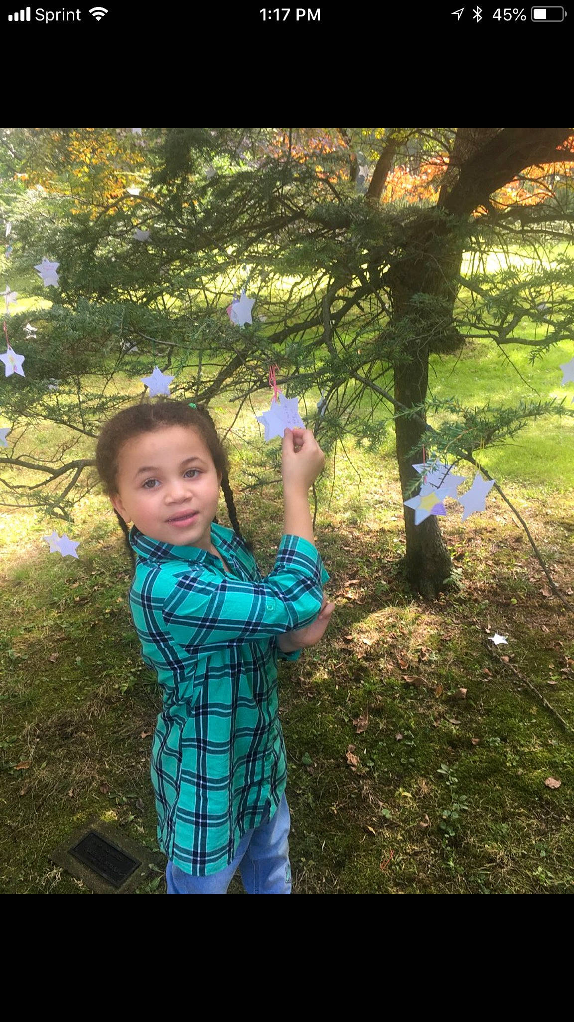 Joy is registered to the contest to win money with this photo: blue, child, day, emotion, facial_expression, fun, girl, grass, green, leaf, nature, person, photograph, photography, plant, play, smile, sunlight, toddler, tree