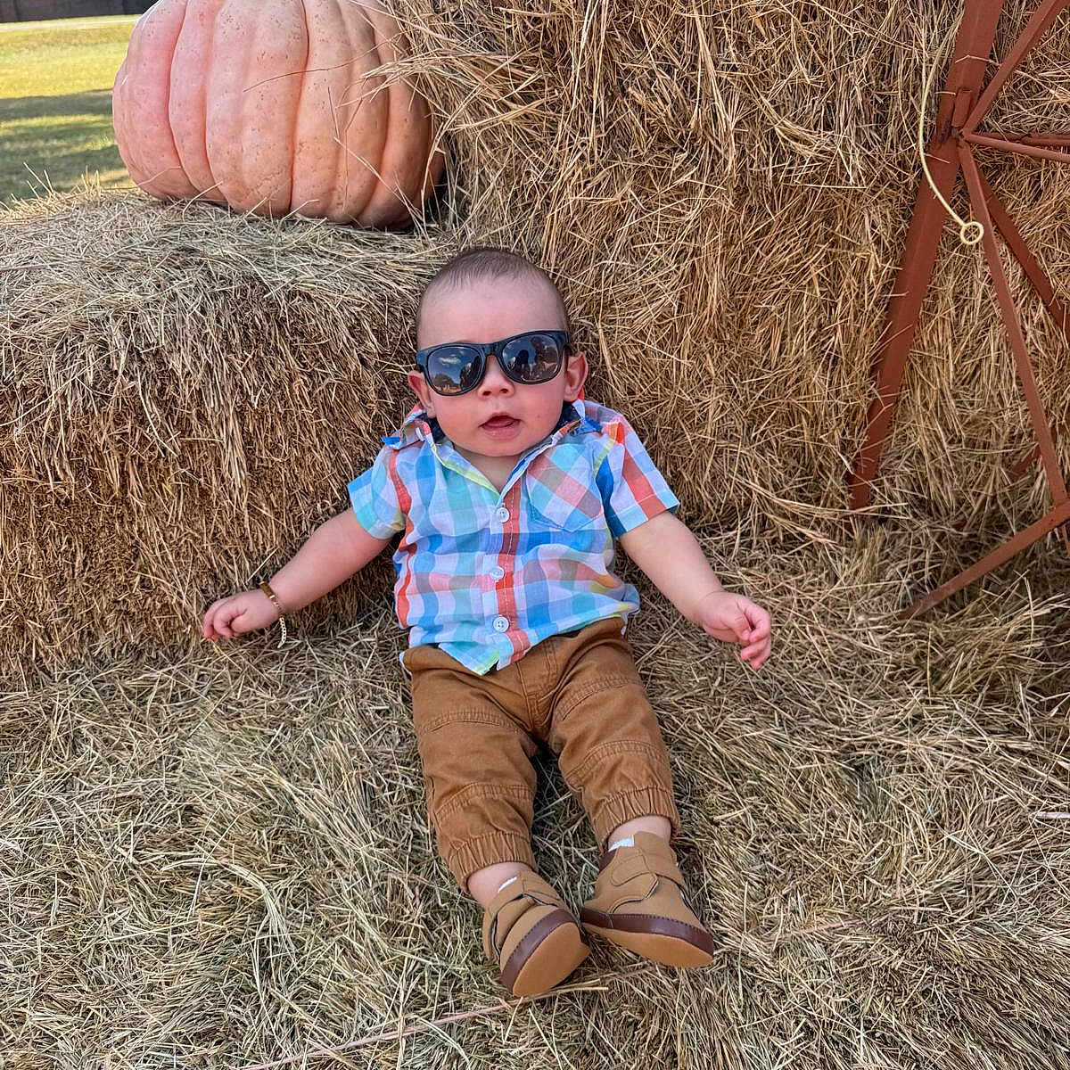 Erick Martín is registered to the contest to win money with this photo: autumn, baby, boots, brown_pants, casual, child, cute, fall, farm, grass, hay, nature, outdoor, person, plaid_shirt, pumpkin, relaxed, seasonal, sunglasses, sunny