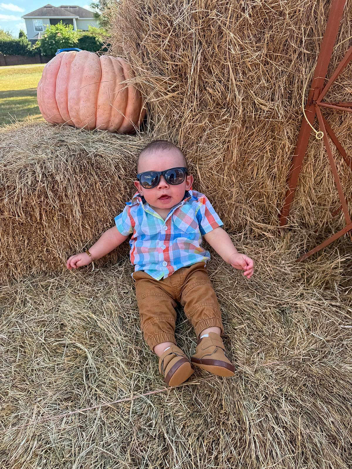 Erick Martín is registered to the contest to win money with this photo: baby, child, sunglasses, plaid_shirt, brown_pants, boots, hay, pumpkin, outdoor, farm, fall, autumn, sunny, grass, nature, person, casual, cute, relaxed, seasonal