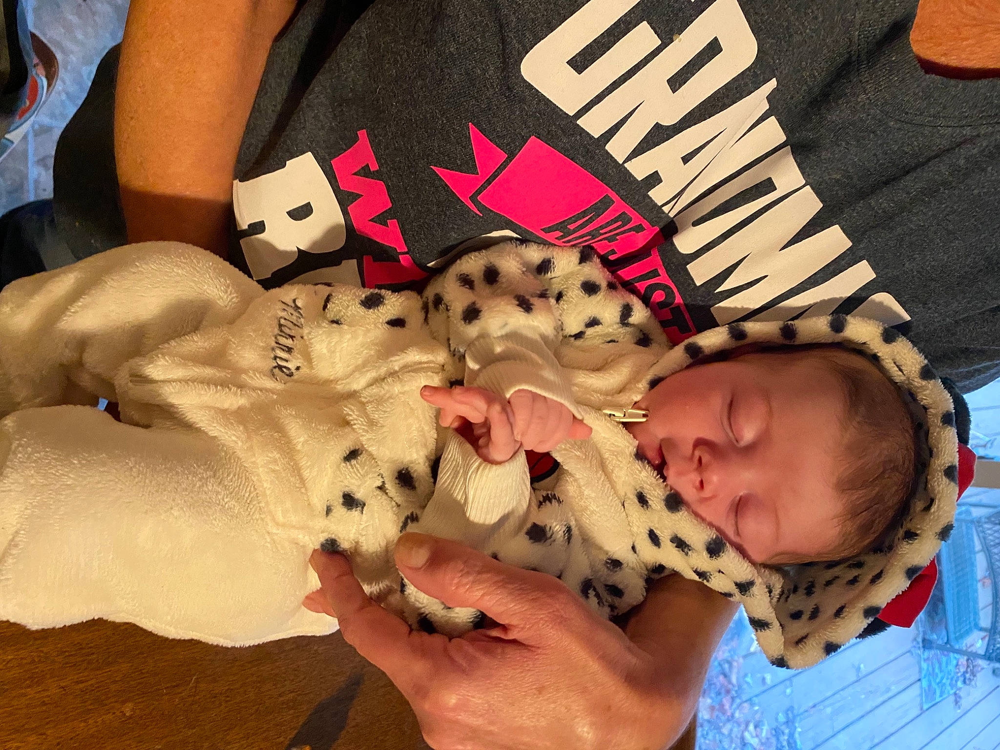 Kaisley is registered to the contest to win money with this photo: baby, baby_products, baby_toddler_clothing, carnivore, child, comfort, companion_dog, dog_breed, fawn, felidae, fur, head, linens, nail, pattern, paw, person, skin, stuffed_toy, textile