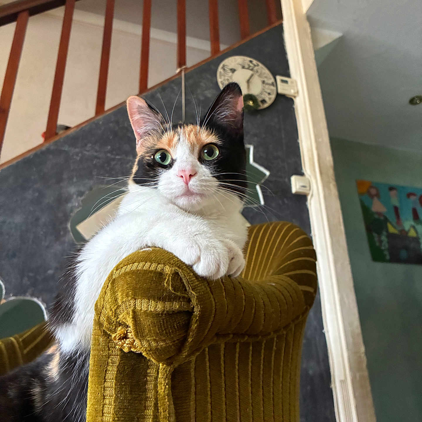 Mia a rejoint le concours — aidez-le/la à gagner de superbes lots ! armchair, calico_cat, cat, cozy, curious, domestic_animal, feline, furniture, green_eyes, house, indoor, mammal, mustard_color, pet, plush, portrait, relaxed, vintage_clock, whiskers, wooden_railing