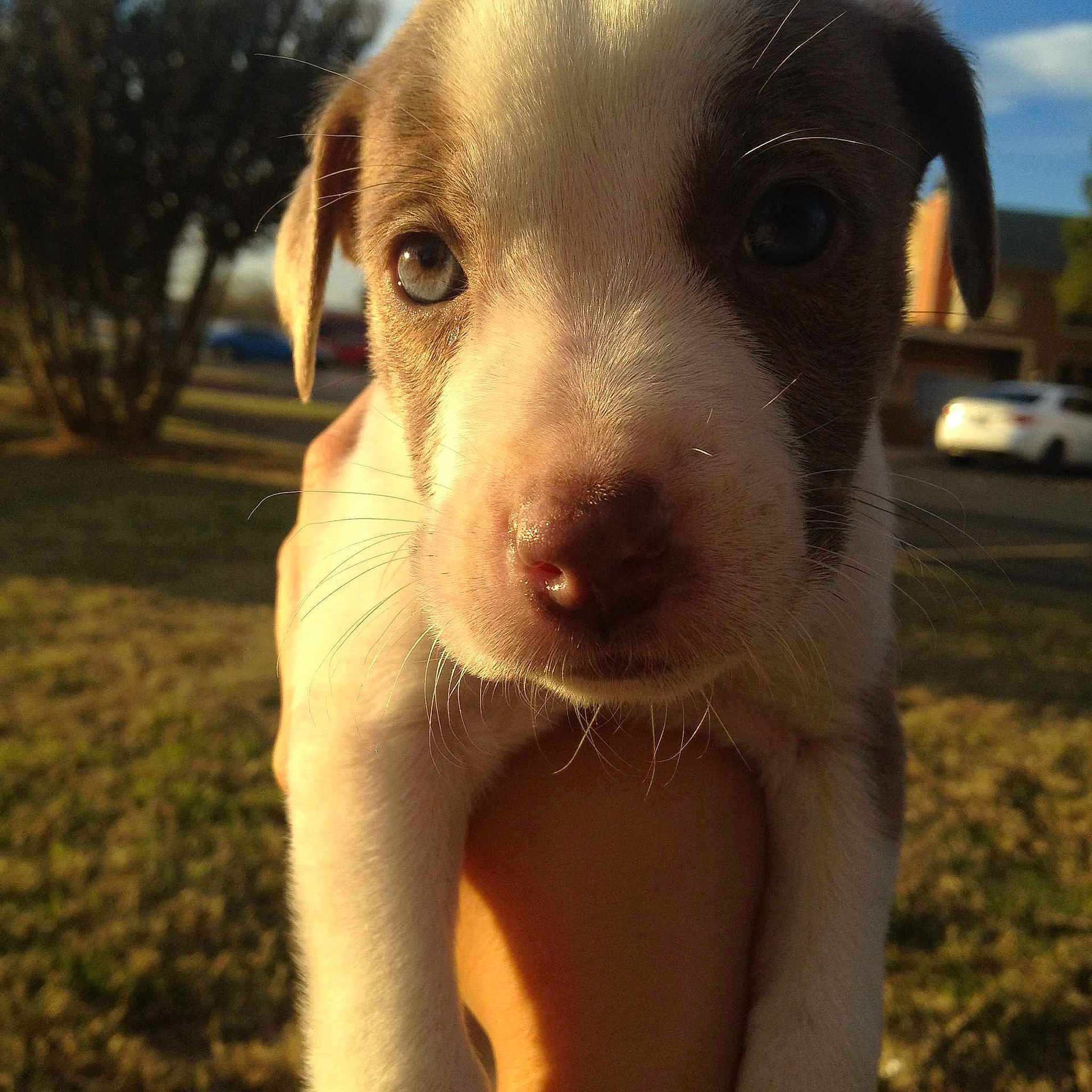 Nova joined the competition — help win amazing prizes!