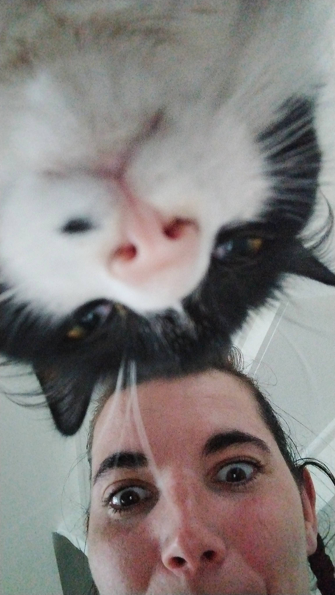 Uruss participe au concours pour gagner de l'argent avec cette photo : beard, black_hair, cheek, child, close_up, ear, eyelash, facial_hair, fur, gesture, happy, human_body, jaw, moustache, mouth, nose, selfie, skin, snout, whiskers