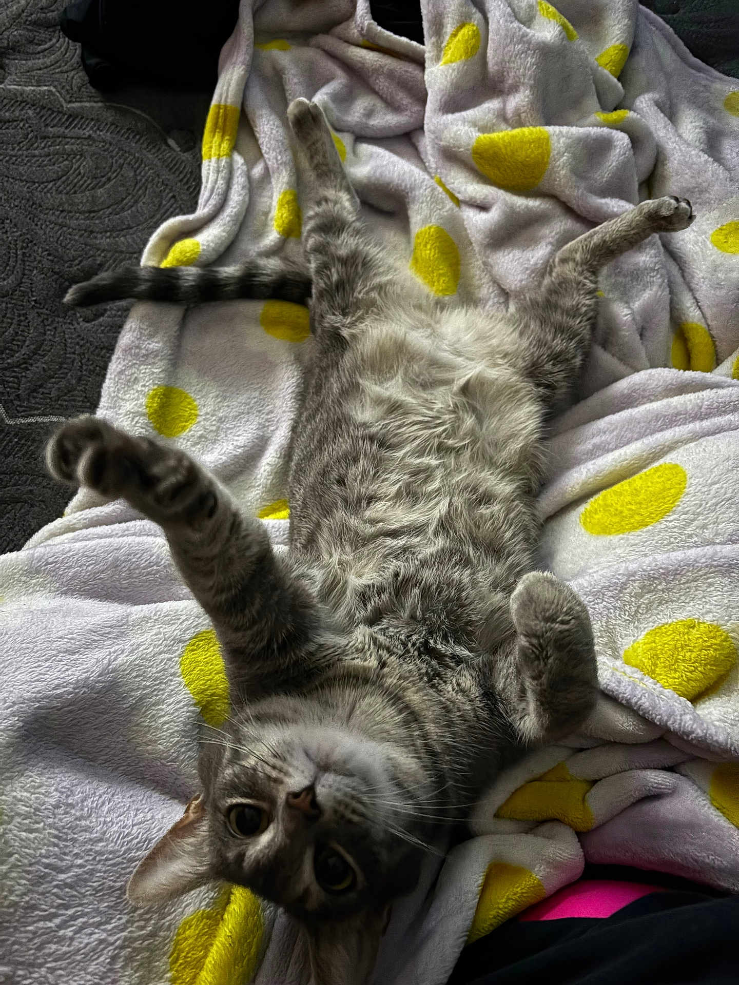 Gary