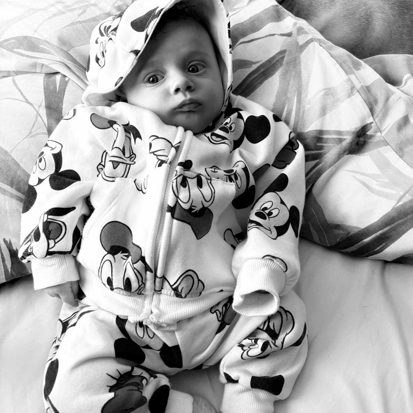 Alijah is registered to the contest to win money with this photo: animal, baby, bed, blanket, bonnet, cap, cat, clothing, face, furniture, hat, head, hood, hoodie, knitwear, person, pet, photography, portrait, sweater