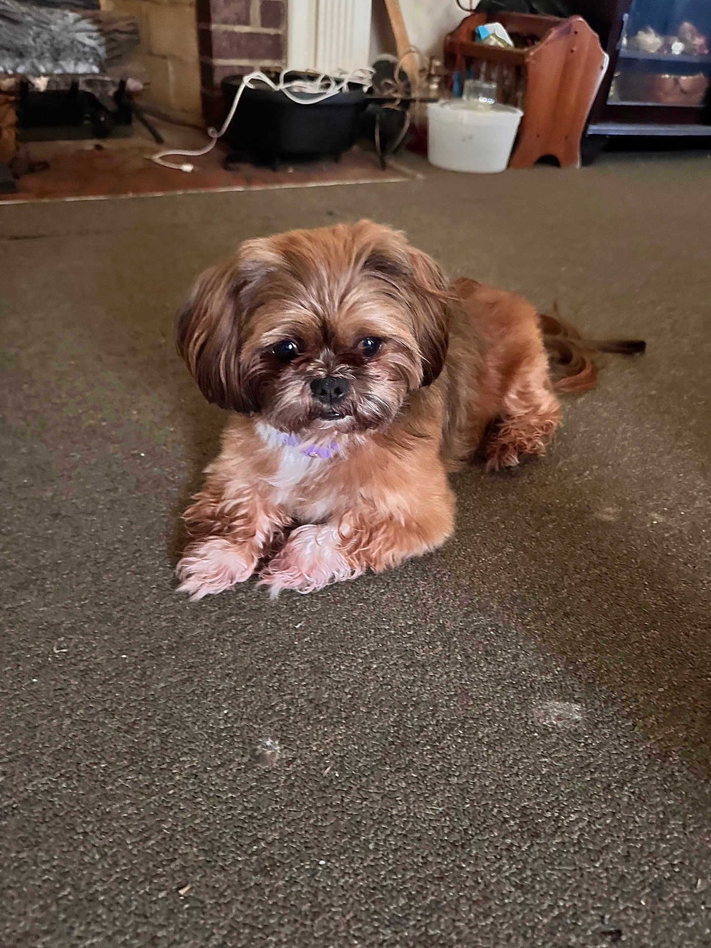 Penny