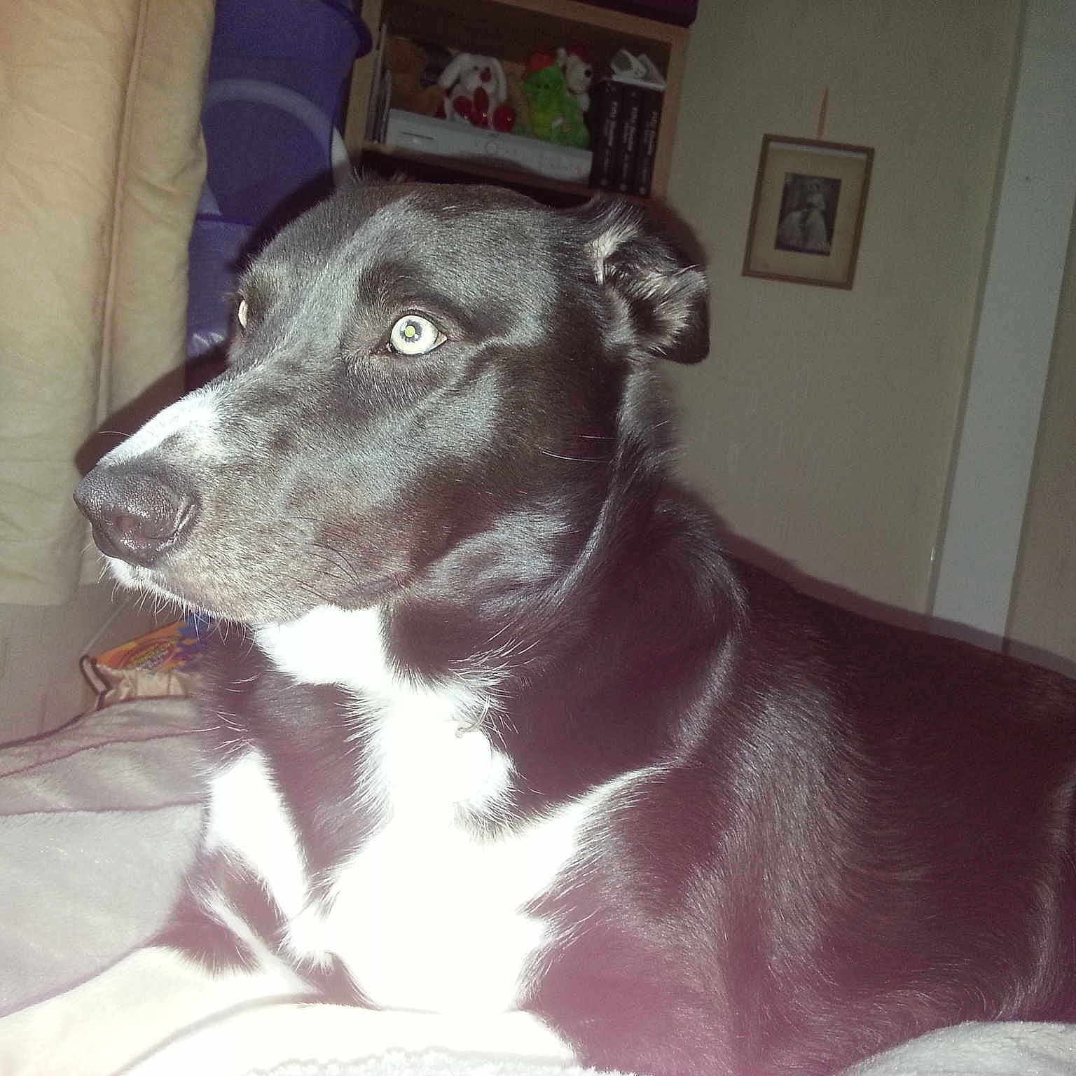 HARLEY joined the competition — help win amazing prizes!