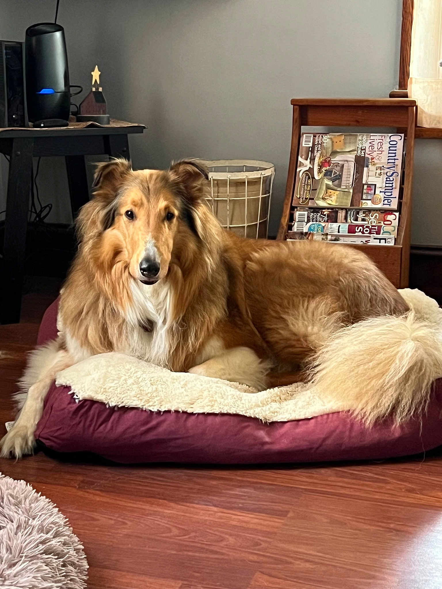 Barkley