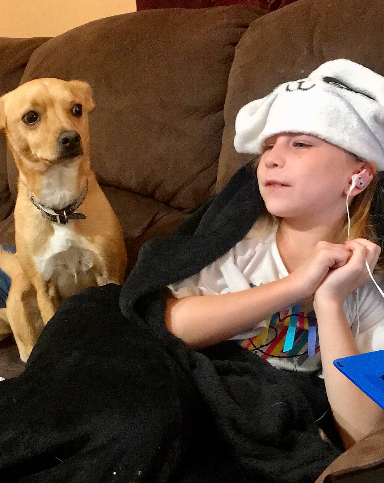 Emma-kate joined the competition — help win amazing prizes! baseball_cap, canidae, cap, carnivore, comfort, companion_dog, couch, dog, dog_breed, dog_collar, dog_supply, fawn, fur, happy, headwear, jewellery, lap, person, pillow, sitting
