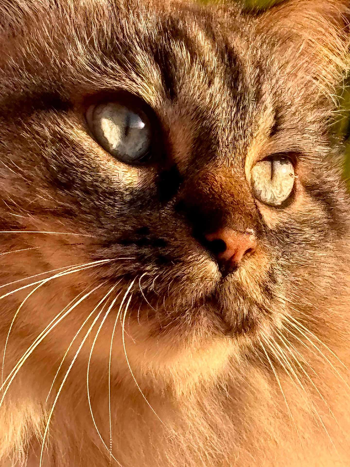Charlie