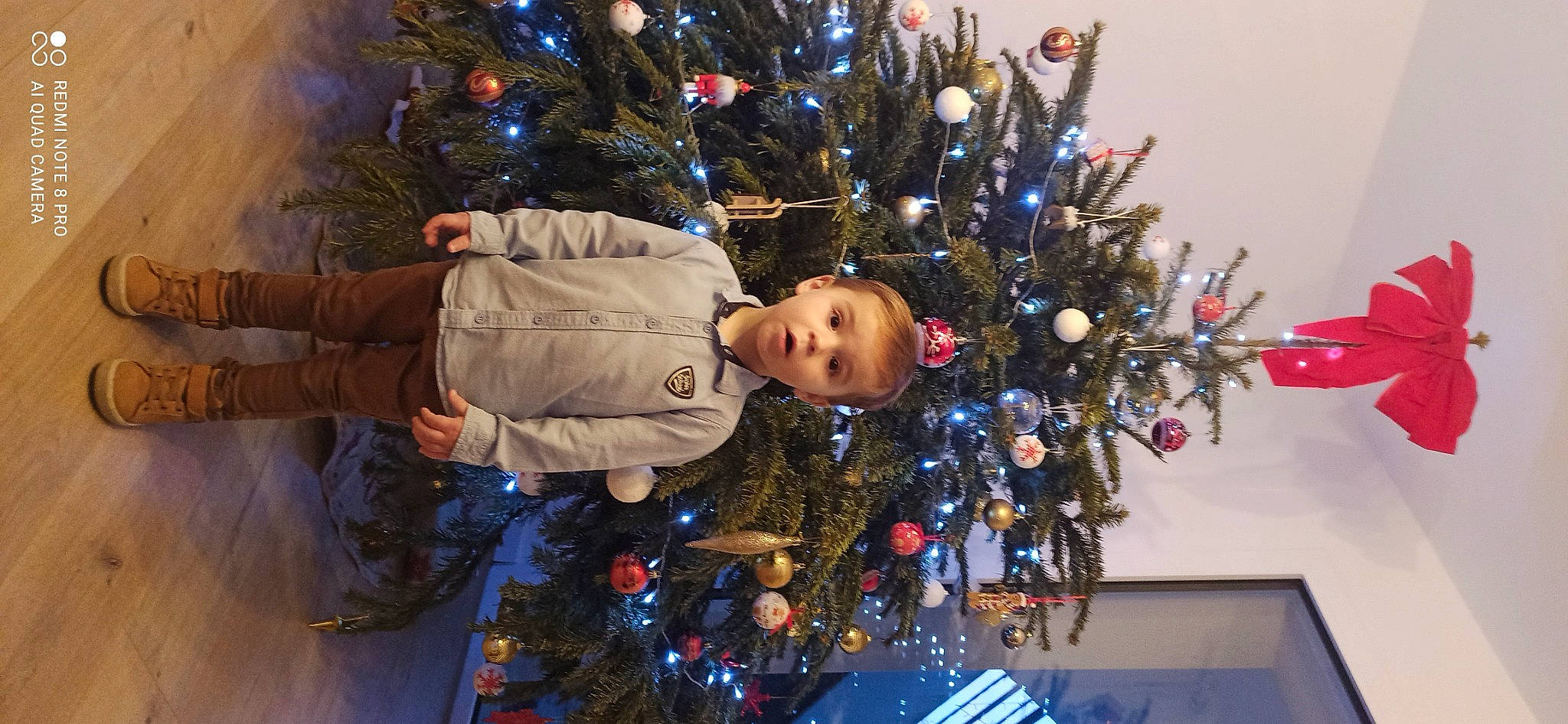 Jules a rejoint le concours — aidez-le/la à gagner de superbes lots ! blue, branch, christmas, christmas_decoration, christmas_eve, christmas_ornament, christmas_tree, electric_blue, event, evergreen, fun, holiday, holiday_ornament, human_body, ornament, person, plant, standing, surprise, tree