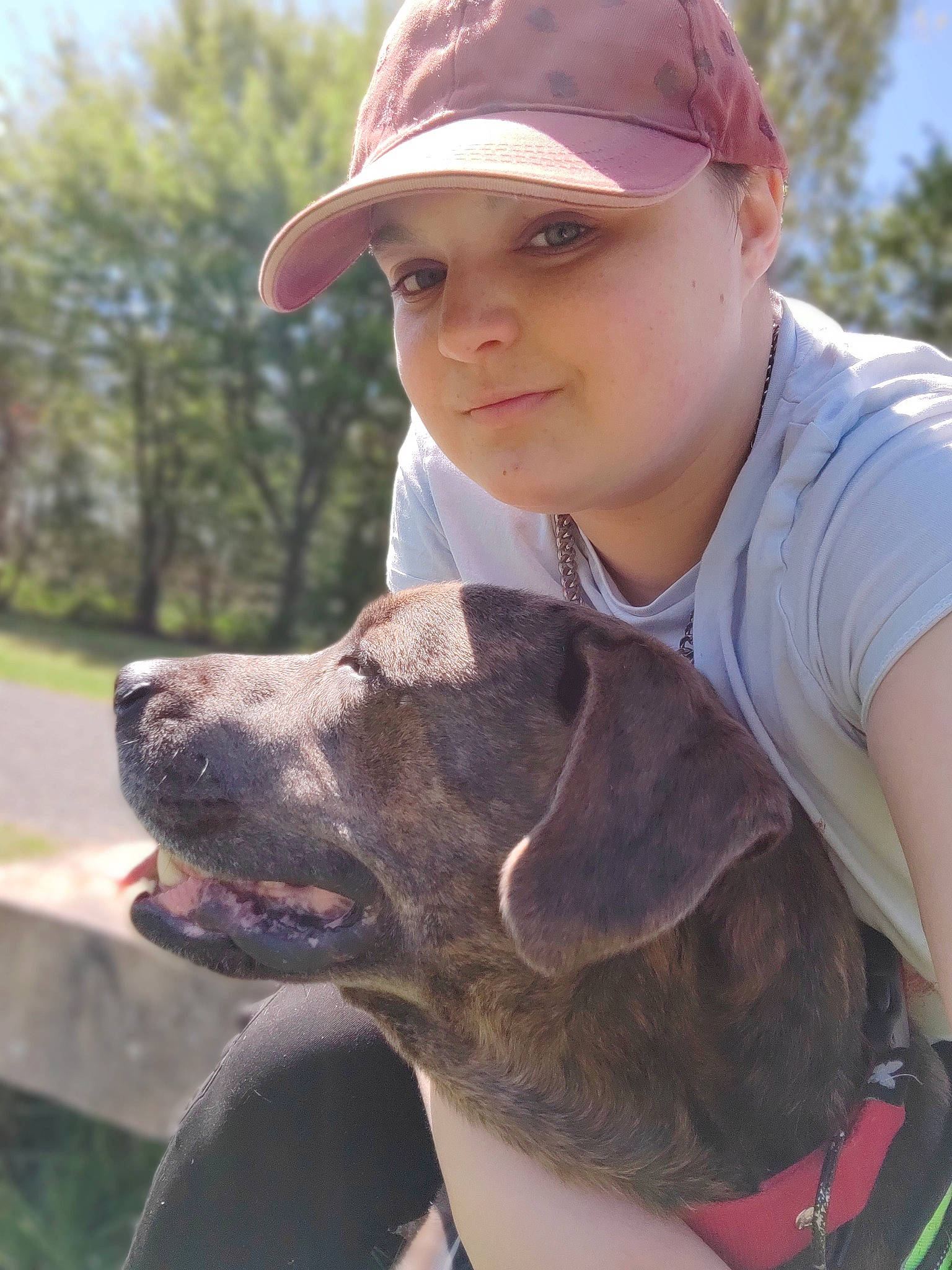 Patate participe au concours pour gagner de l'argent avec cette photo : baseball_cap, canidae, cap, carnivore, collar, companion_dog, dog, dog_breed, dog_collar, fawn, hat, liver, recreation, sky, smile, snout, sporting_group, tree, working_animal, working_dog