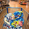 Fish joined the competition — help win amazing prizes! shopping_cart, puppy, dog, blanket, grocery_store, aisle, floor, shelf, packaged_food, pet_bed, colorful, cute, indoor, shopping, retail, animal, small_dog, french_bulldog, comfort, curious
