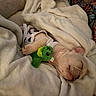 puppy, dog, blanket, sleeping, plush_toy, cozy, soft, cute, resting, indoors, comfort, animal, pet, fur, snuggle, young, face, paw, fabric, colorful