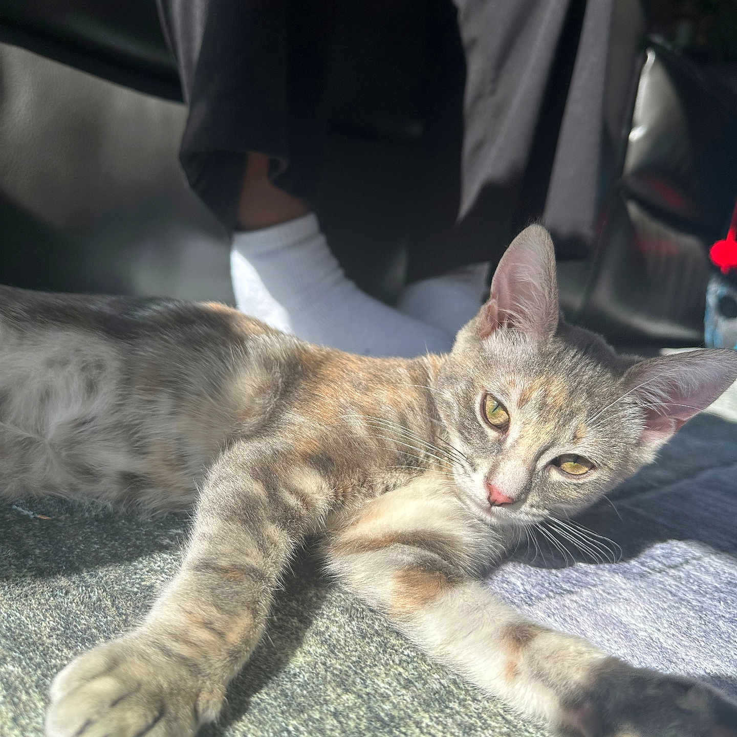 Yuki