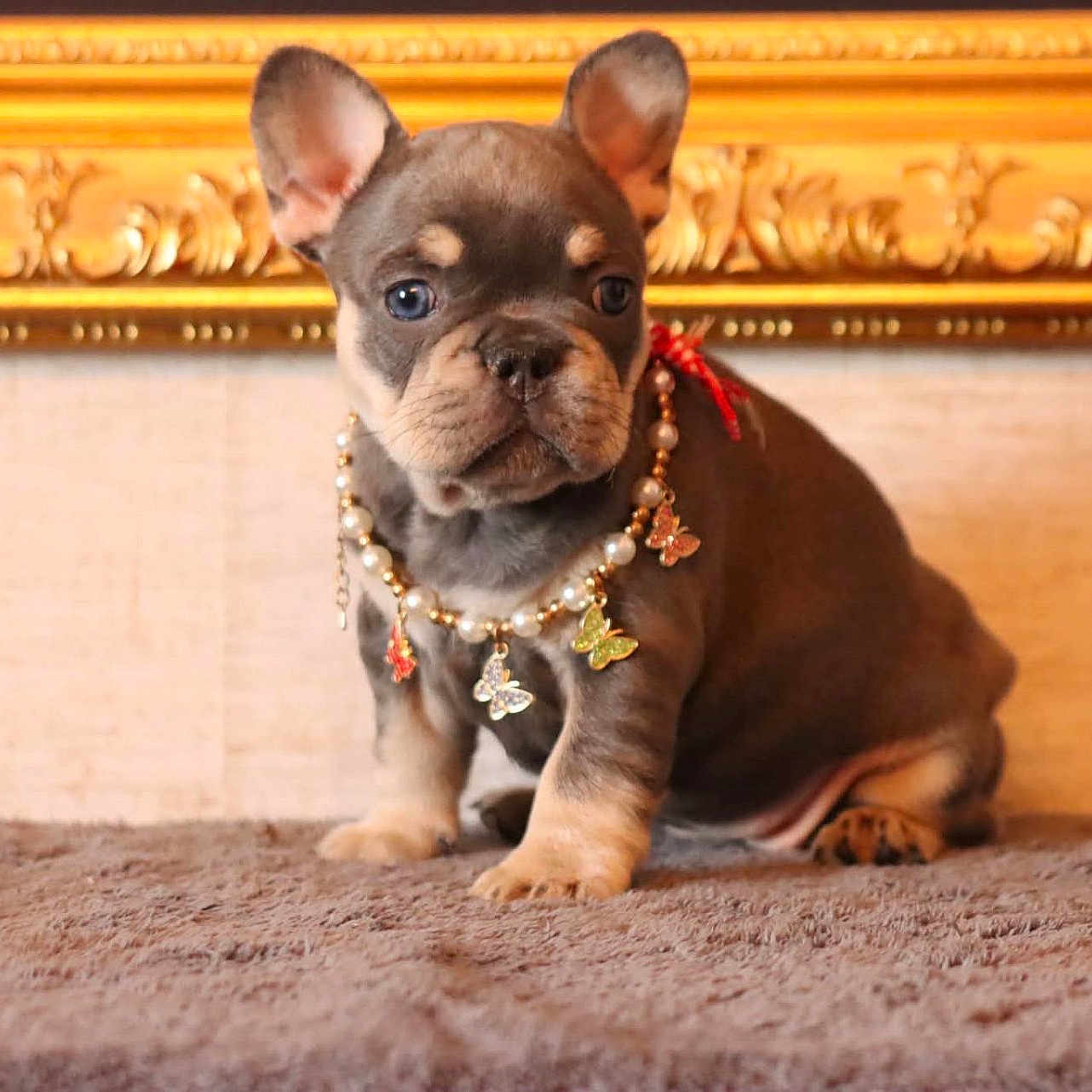 Bijou
