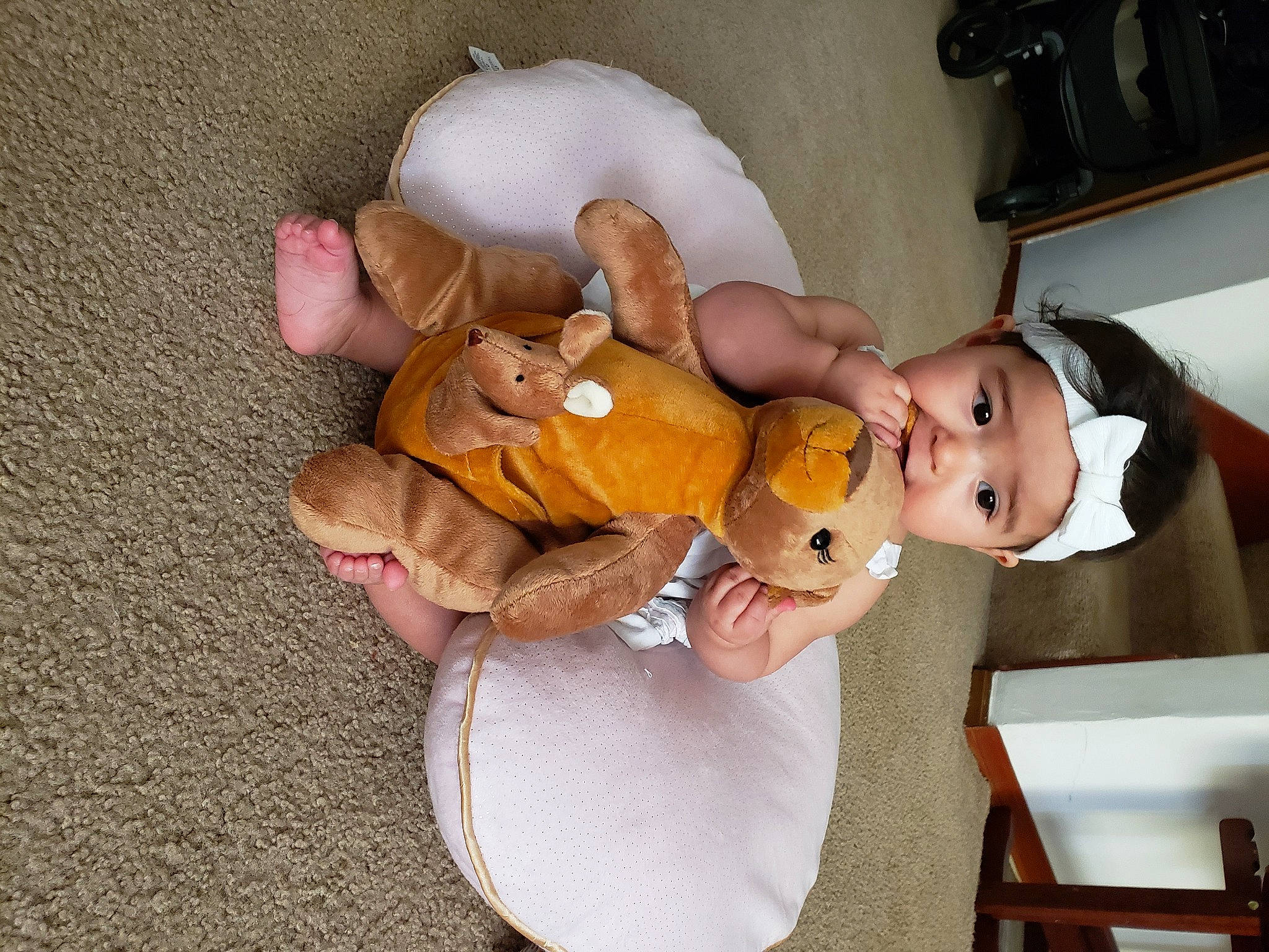 Samantha is registered to the contest to win money with this photo: abdomen, baby, baby_products, comfort, companion_dog, doll, fawn, finger, fur, headwear, human_body, lap, leg, person, plush, room, sitting, stuffed_toy, teddy_bear, toy