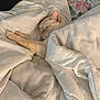 Dante is registered to the contest to win money with this photo: cat, cream_colored, blanket, bed, cozy, sleepy, stretching, indoor, soft_texture, comfort, feline, resting, paws, white_bedding, relaxed, nap_time, warm, cute, domestic, pet
