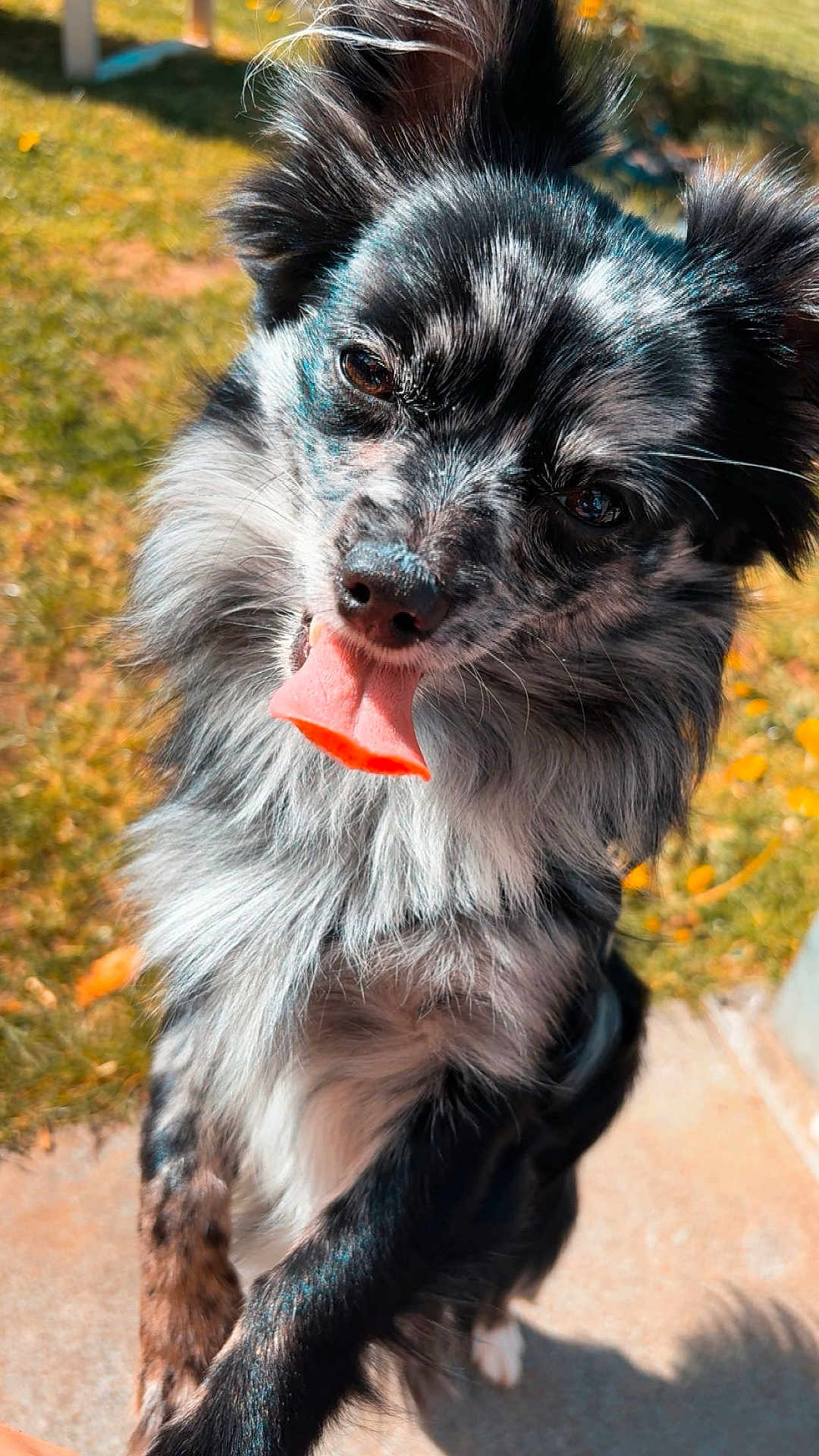 Charlie