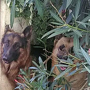 Junior a rejoint le concours — aidez-le/la à gagner de superbes lots ! adaptation, arecales, botany, eye, fawn, grass, hat, jungle, people_in_nature, plant, terrestrial_animal, terrestrial_plant, twig, wildlife