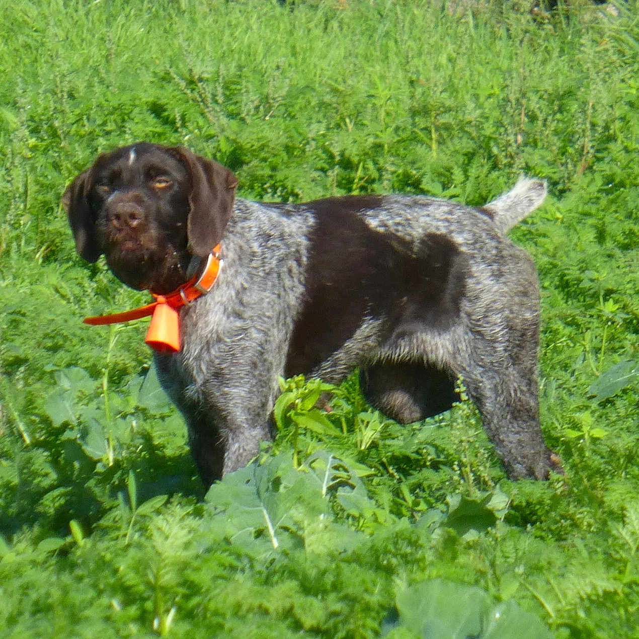 Oona