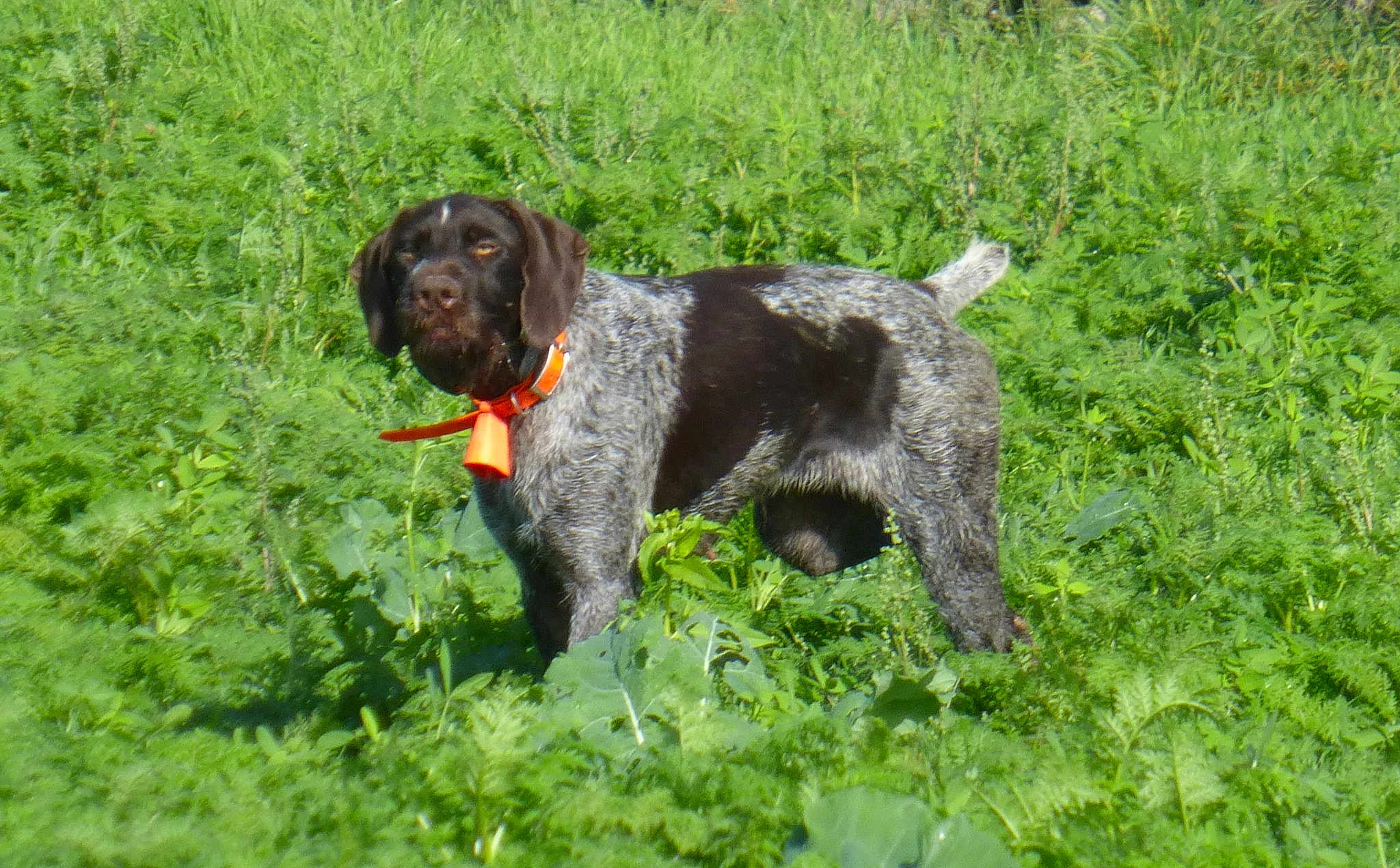 Oona