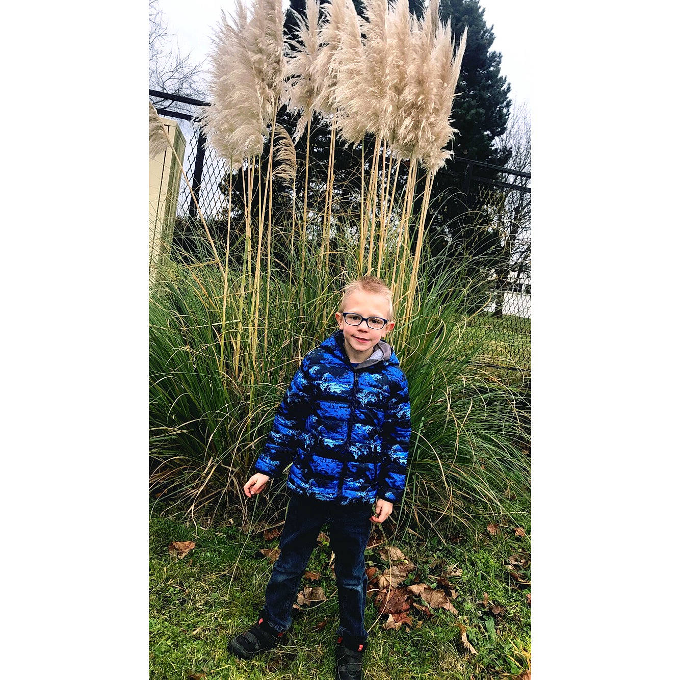 Enzo participe au concours pour gagner de l'argent avec cette photo : grass, outerwear, person, plant, toddler, tree