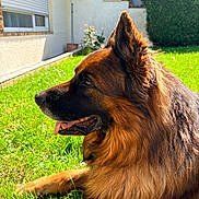 Narko participe au concours pour gagner de l'argent avec cette photo :