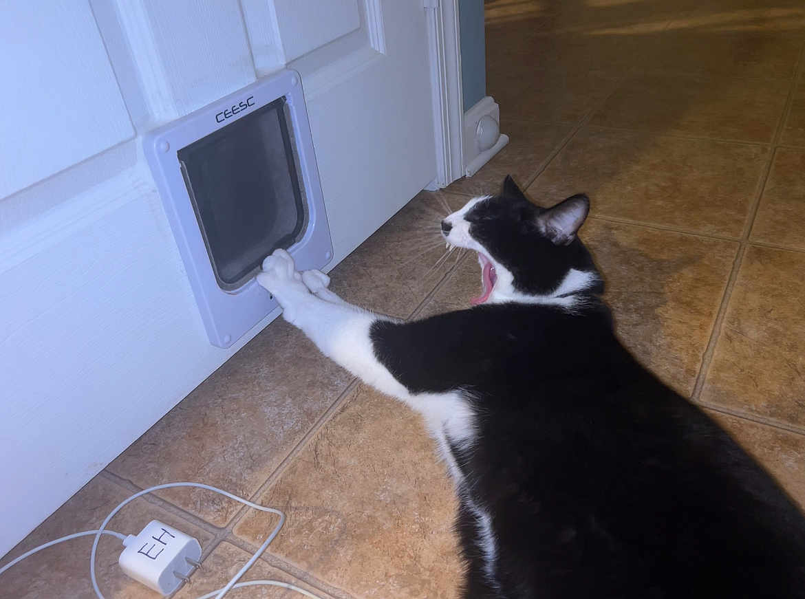 Oreo