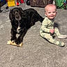 Liam joined the competition — help win amazing prizes! baby, dog, carpet, toy, pajamas, bone, chair, plush_toy, indoor, child, pet, smile, happy, floor, living_room, furniture, play, cute, friendship, animal