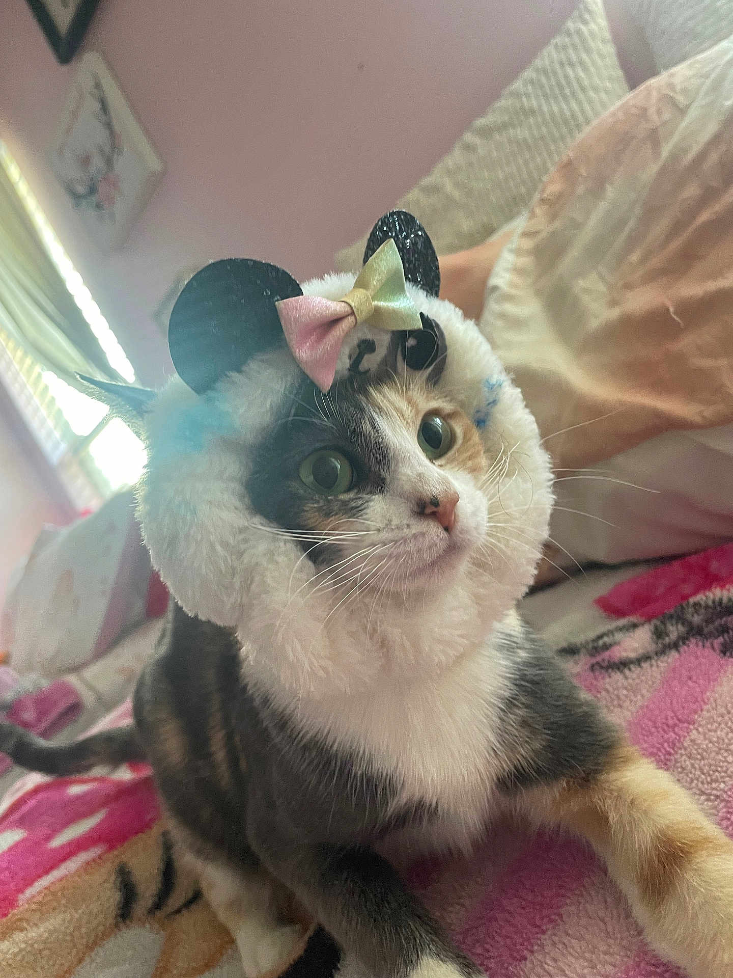 Mochi