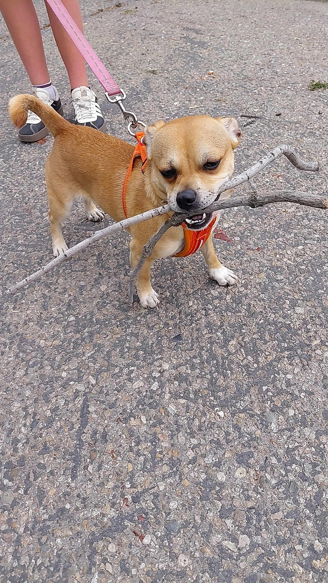 Marley