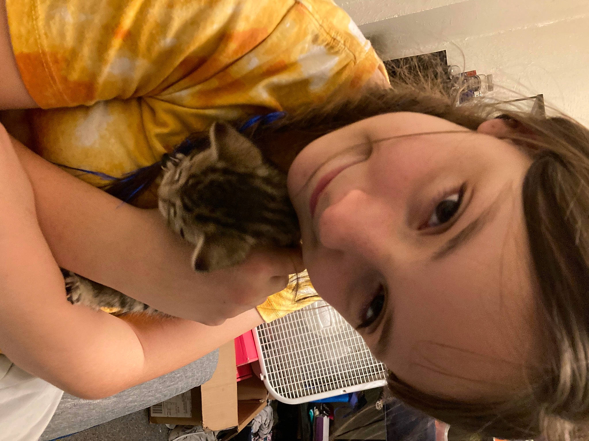 Bella joined the competition — help win amazing prizes! bangs, black_hair, blond, brown_hair, child, comfort, ear, eyelash, felidae, fun, happy, human_body, human_leg, joy, long_hair, mouth, nail, neck, organ, person