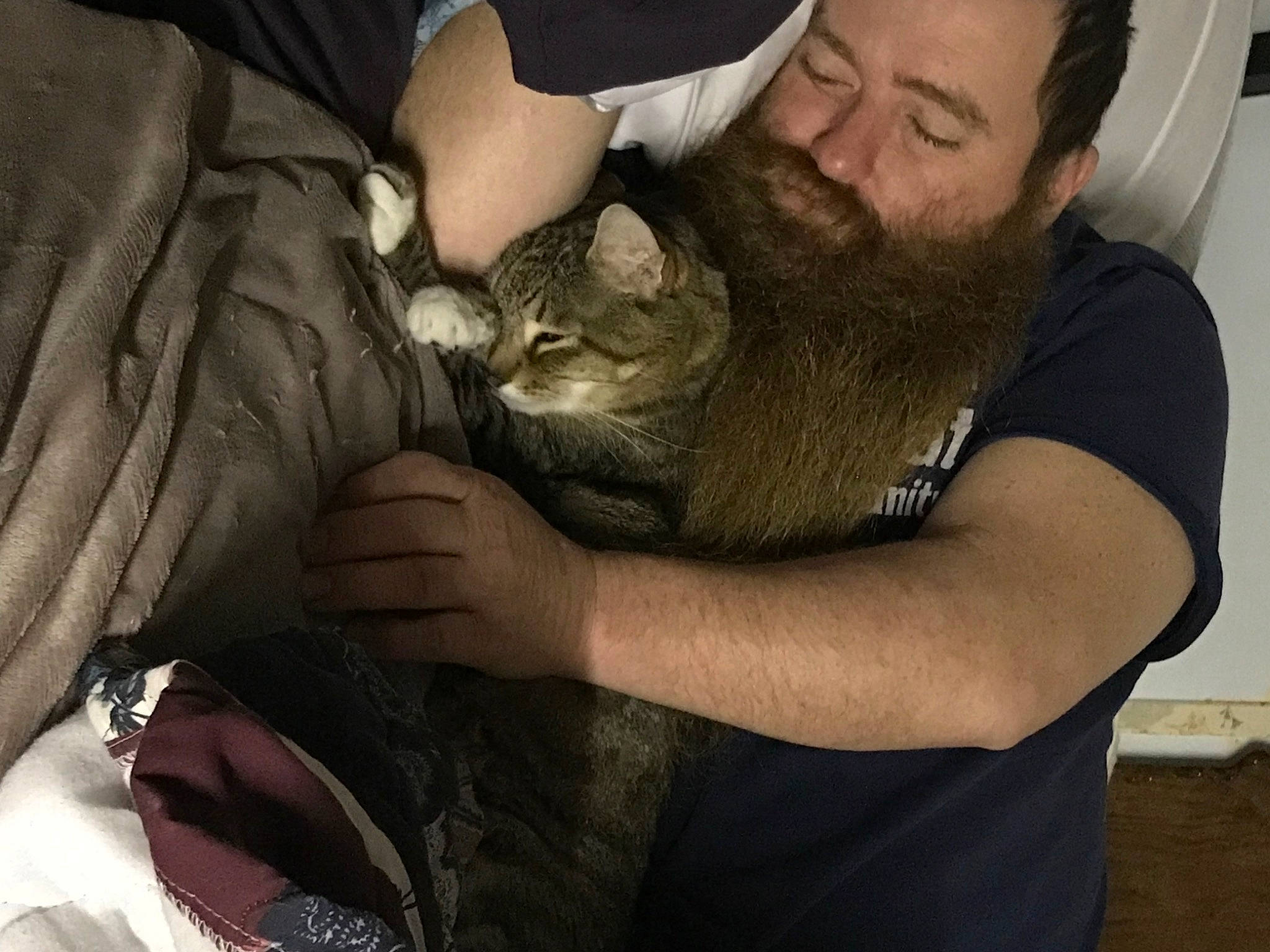Tigger is registered to the contest to win money with this photo: bat, beard, carnivore, cat, comfort, domestic_short_haired_cat, ear, facial_hair, felidae, fur, gesture, hand, human, jaw, moustache, safety_glove, small_to_medium_sized_cats, whiskers, wildlife_biologist, wrist