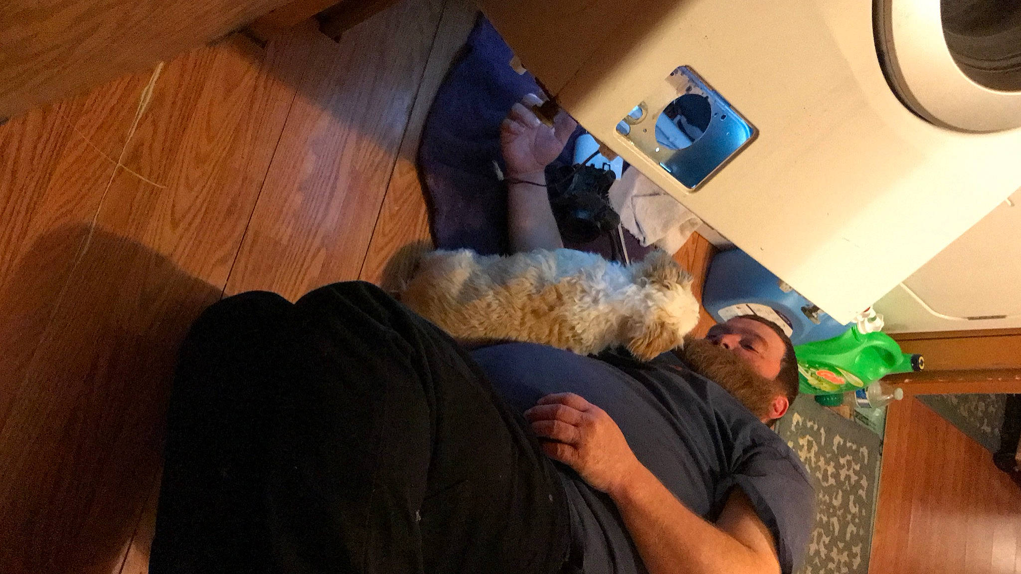 Tigger joined the competition — help win amazing prizes! audio_equipment, beard, comfort, elbow, flooring, fun, gadget, hardwood, home_appliance, human_leg, knee, laptop, leisure, room, sitting, t_shirt, thigh, wood, wood_flooring, wood_stain