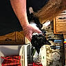Trouble is registered to the contest to win money with this photo: artisan, automotive_design, cooking, engineering, home_appliance, human_leg, job, kitchen_appliance, machine, nail, plaid, power_tool, room, table, tableware, tartan, wood, workbench, wrist