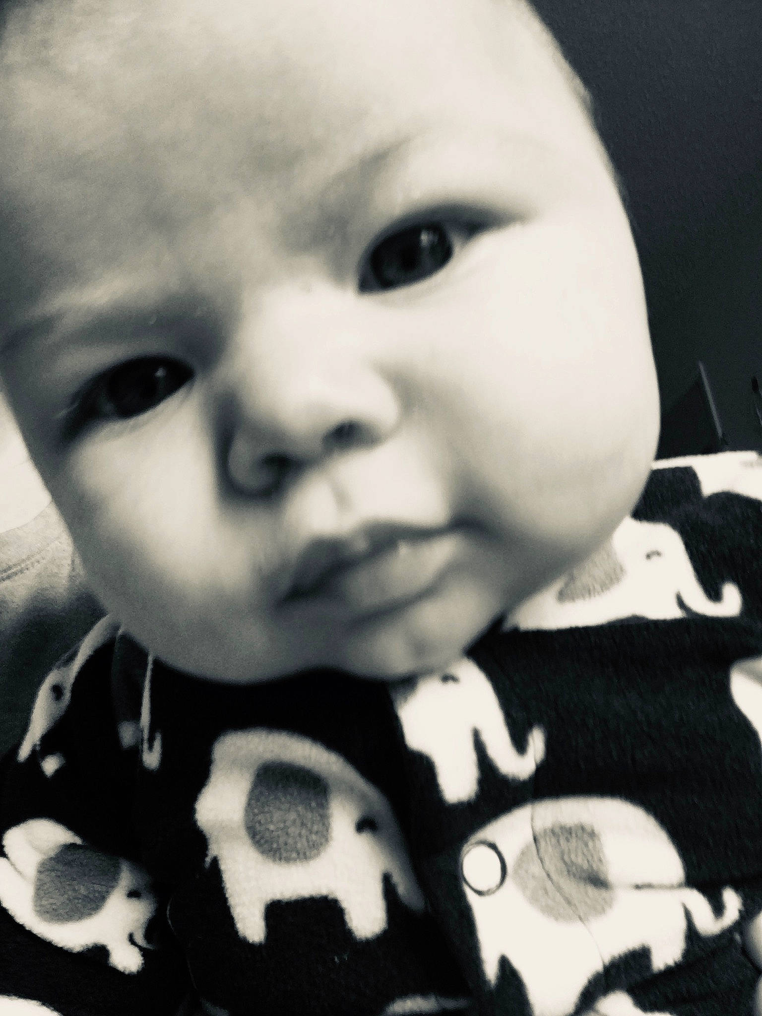 Harlan joined the competition — help win amazing prizes! baby, black_and_white, cheek, child, cool, eye, face, head, lip, monochrome, mouth, nose, person, photograph, photography, smile, toddler