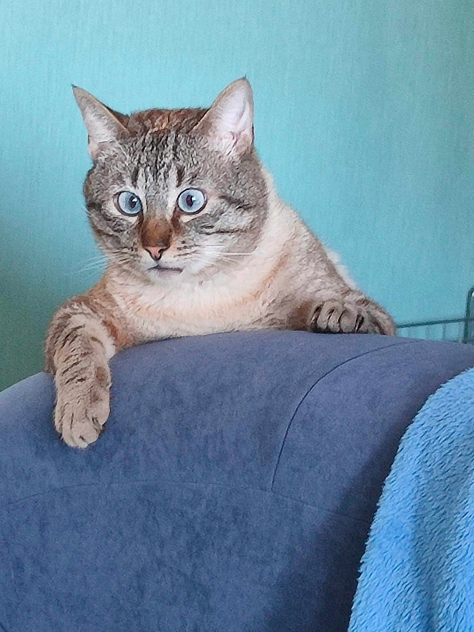Billy