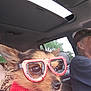 Cooper Elvis joined the competition — help win amazing prizes! dog, glasses, red, car, vehicle_interior, person, seat, window, tree, pet, small_dog, costume, mesh_fabric, side_profile, animal_accessory, driver, leisure, daytime, companion, indoors