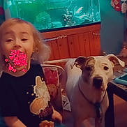 Scarlett Rose joined the competition — help win amazing prizes! child, dog, aquarium, fish_tank, curtain, furniture, indoor, pet, snack, wooden_cabinet, stockings, holiday_decor, table, floor, wall, smile, curly_hair, collar, leash, happy