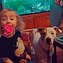 child, dog, aquarium, fish_tank, curtain, furniture, indoor, pet, snack, wooden_cabinet, stockings, holiday_decor, table, floor, wall, smile, curly_hair, collar, leash, happy