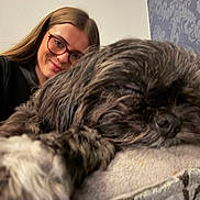 Albie is registered to the contest to win money with this photo: woman, dog, glasses, smiling, sleeping, couch, indoor, pet, relaxing, closeup, furniture, brown_hair, long_hair, cozy, portrait, face, blanket, home, resting, animal