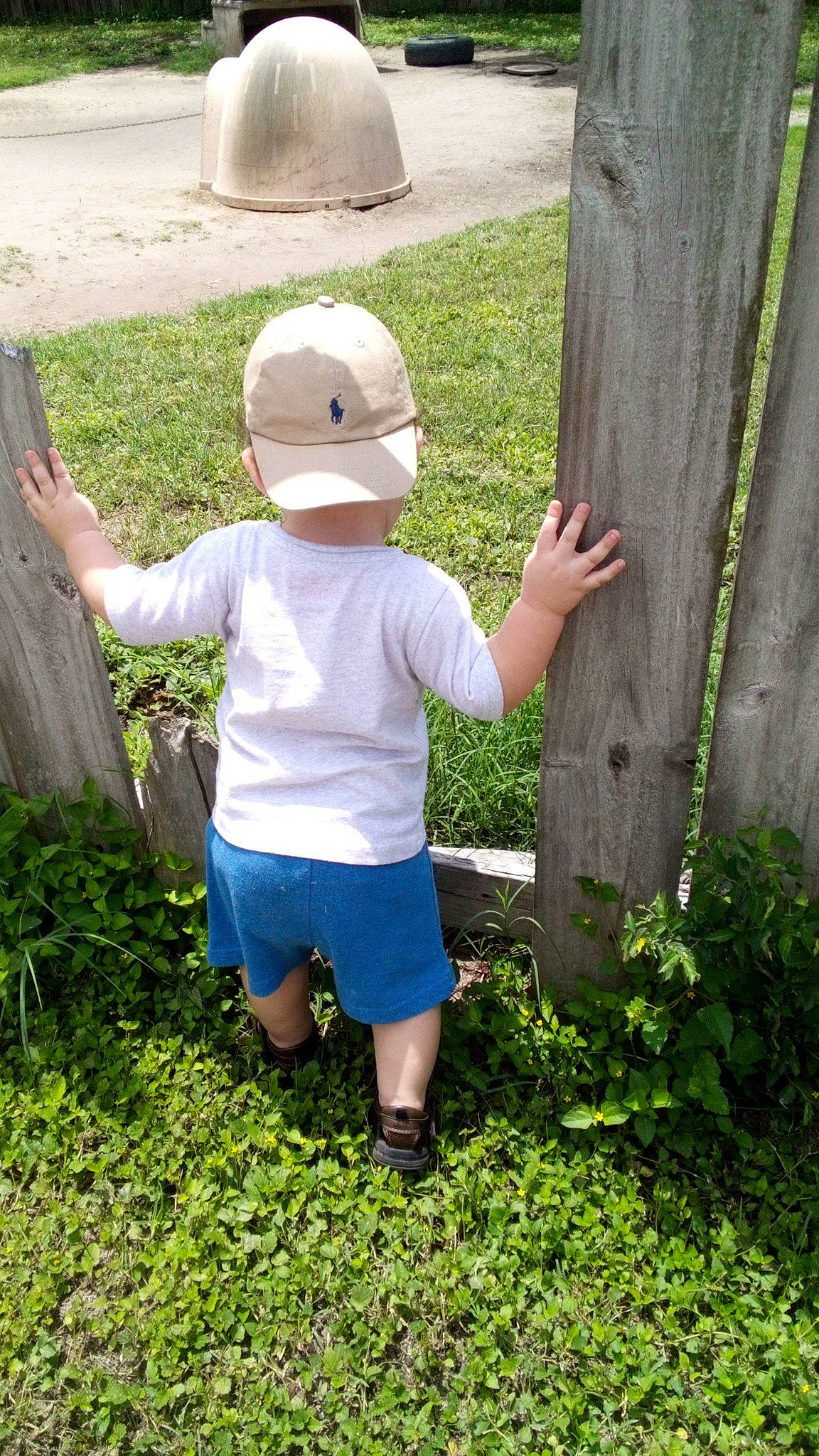 Jaime is registered to the contest to win money with this photo: baby, baby_toddler_clothing, botany, cap, child, fun, garden, grass, green, hat, landscape, lawn, leaf, leisure, people_in_nature, person, plant, shorts, shrub, t_shirt