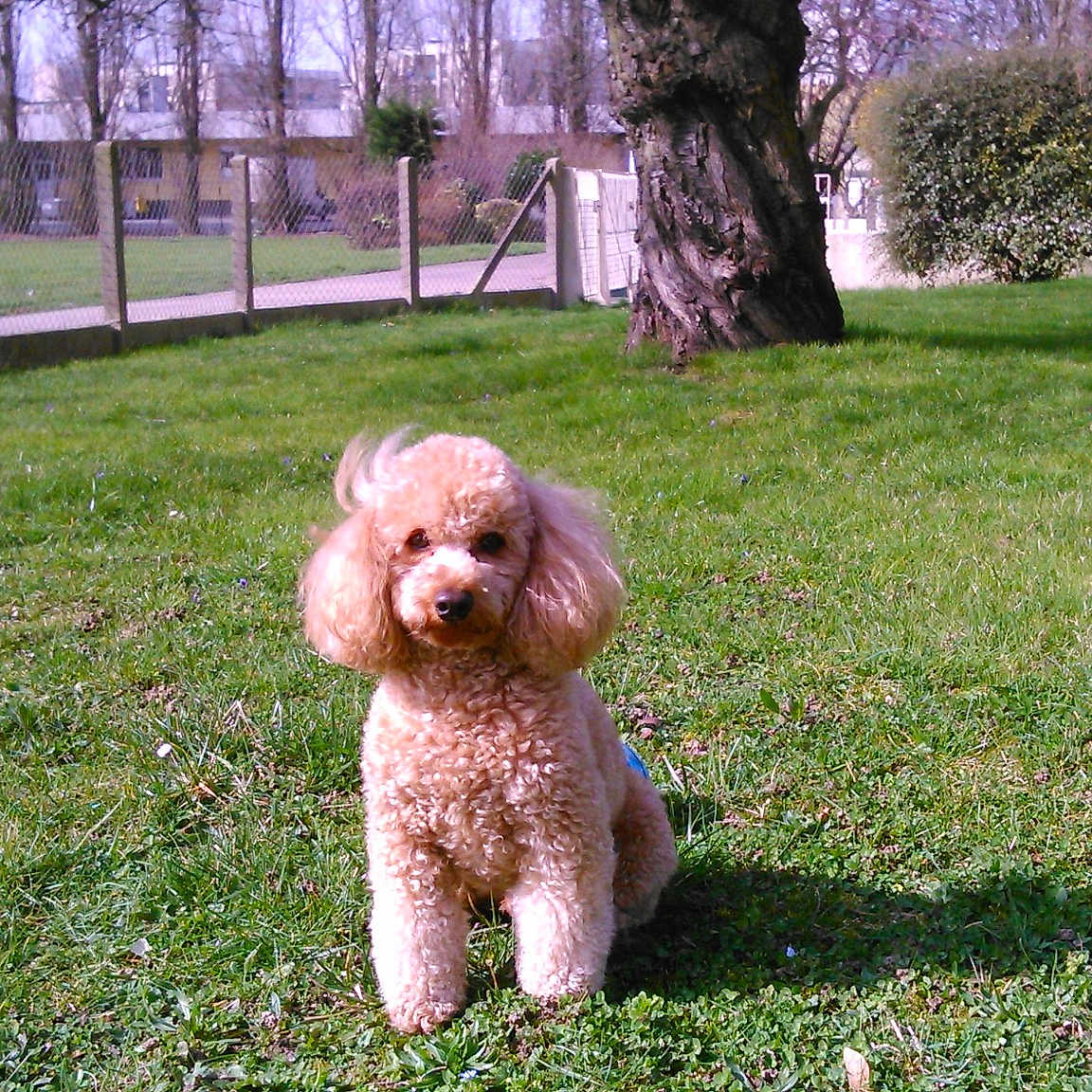 Winny