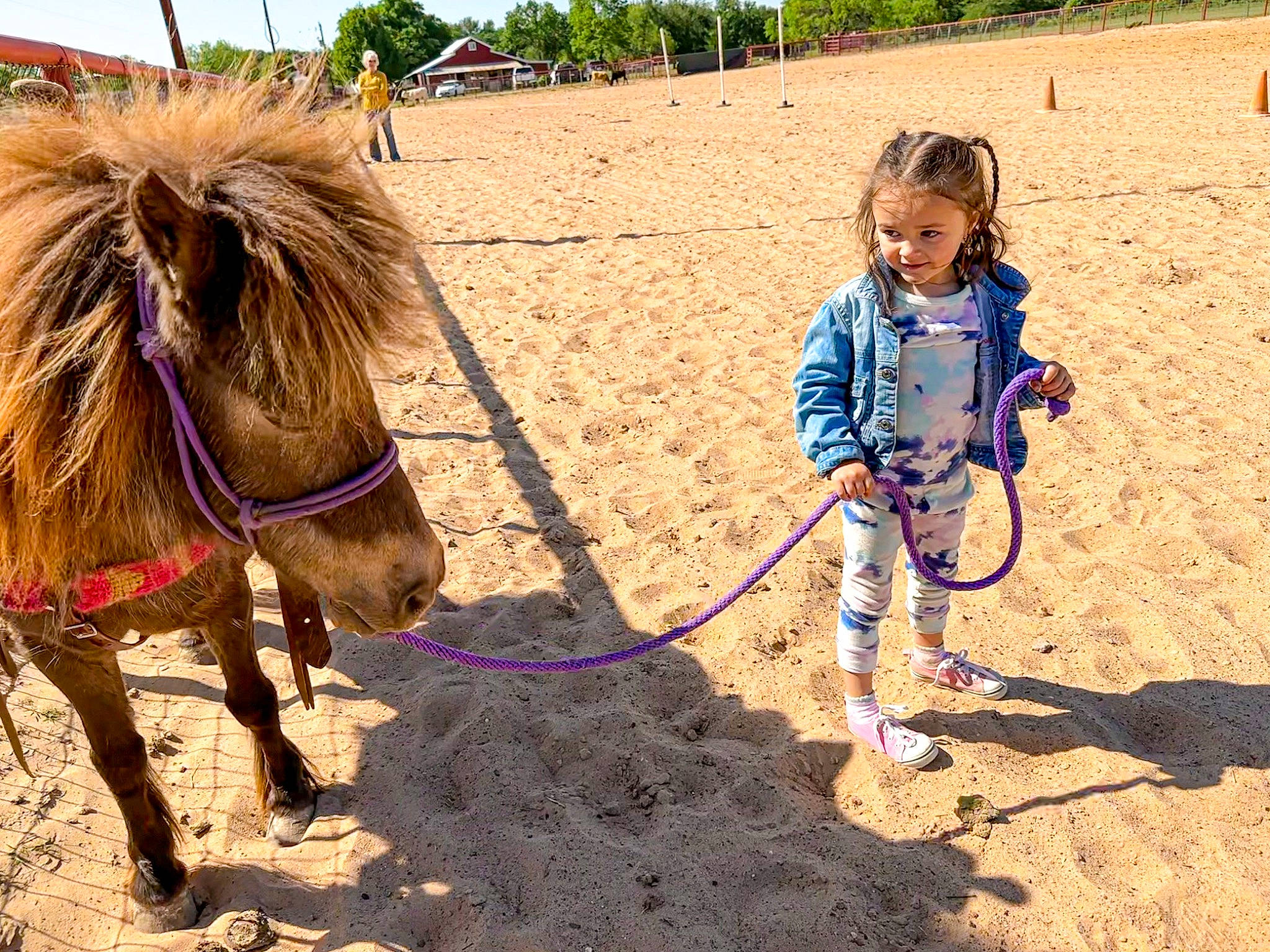 Lillie joined the competition — help win amazing prizes! adaptation, bridle, fun, happy, horse, horse_supplies, horse_tack, landscape, livestock, pack_animal, person, plant, recreation, rein, sand, sky, soil, toddler, travel, tree