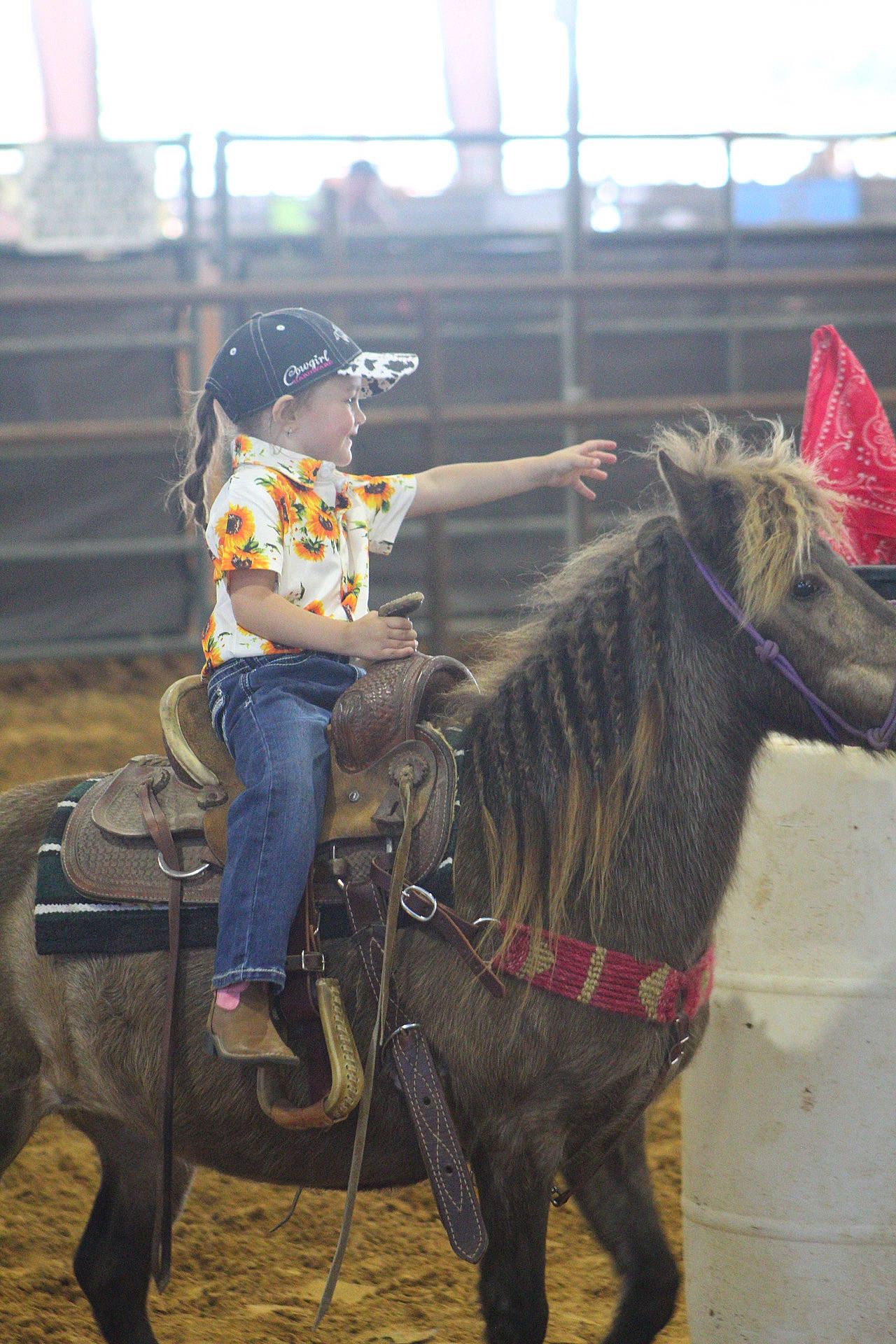 Lillie joined the competition — help win amazing prizes! animal_sports, bit, bridle, equestrian_sport, equestrianism, event, halter, hat, horse, horse_supplies, horse_tack, landscape, mane, outdoor_recreation, pack_animal, person, recreation, rein, saddle, sports