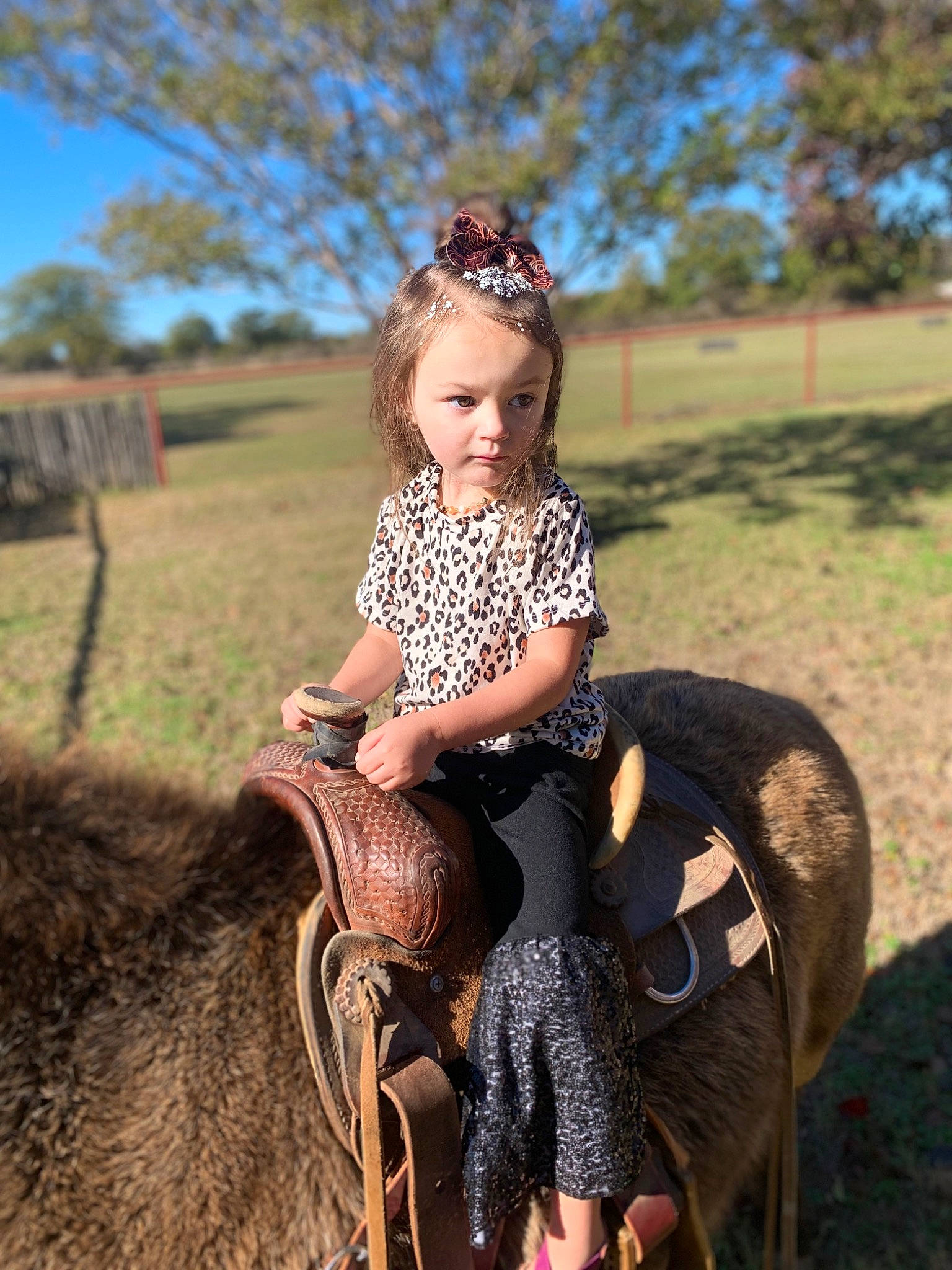 Lillie joined the competition — help win amazing prizes! bridle, dress, eye, fawn, grass, grassland, happy, horse, horse_supplies, horse_tack, mammal, people_in_nature, person, plant, recreation, saddle, sky, toddler, tree, vertebrate