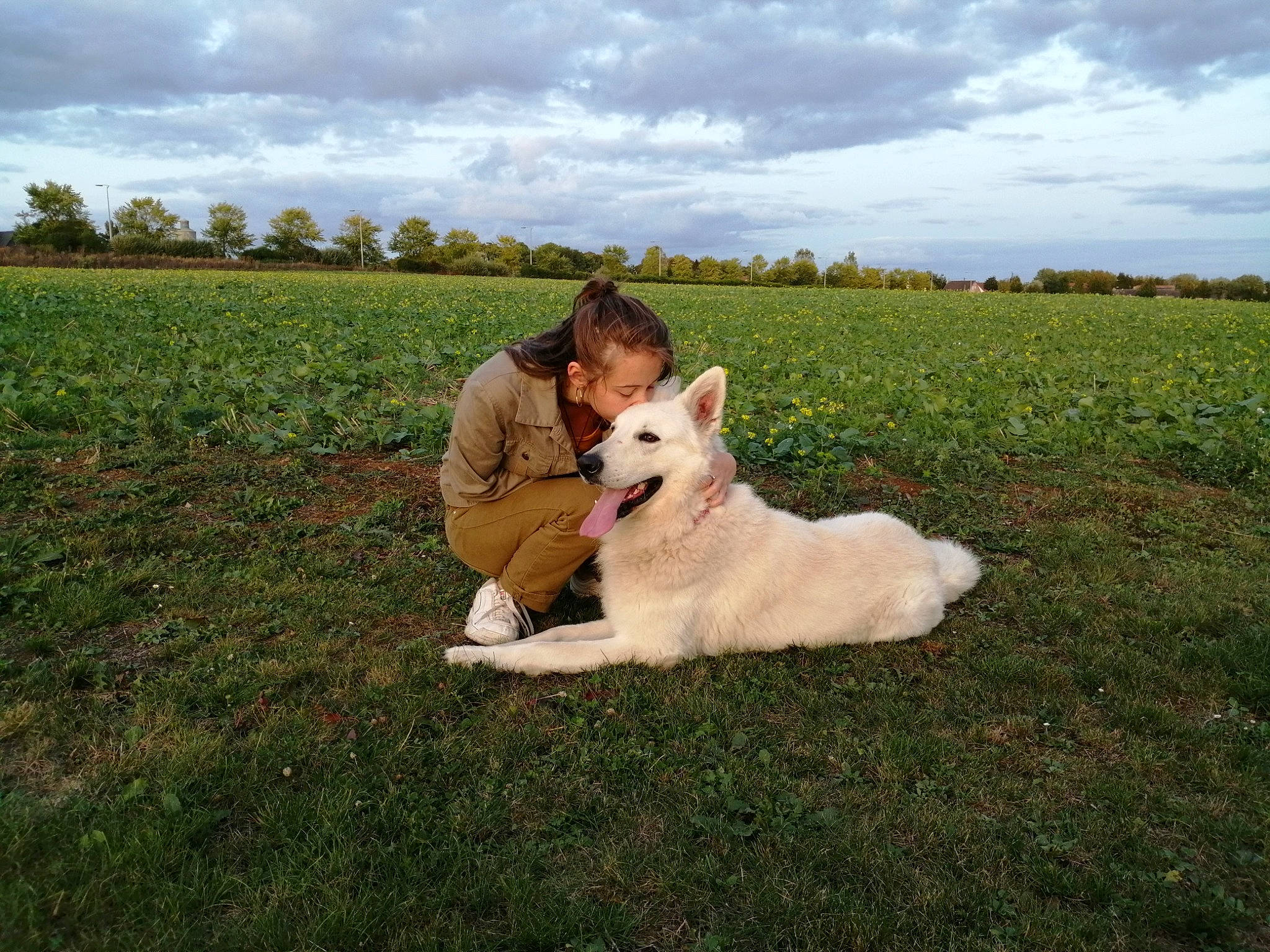 Bucky a rejoint le concours — aidez-le/la à gagner de superbes lots ! berger_blanc_suisse, canidae, carnivore, cloud, companion_dog, dog, dog_breed, grass, grassland, herding_dog, icelandic_sheepdog, mammal, norrbottenspets, norwegian_buhund, pembroke_welsh_corgi, sky, vertebrate, white_shepherd, working_dog